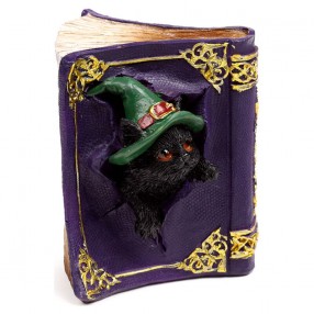 Figura Brujas Gato Negro surtido