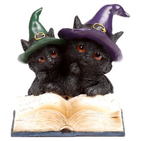 Figura Brujas Gato Negro surtido