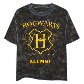 Camiseta Hogwarts Harry Potter adulto