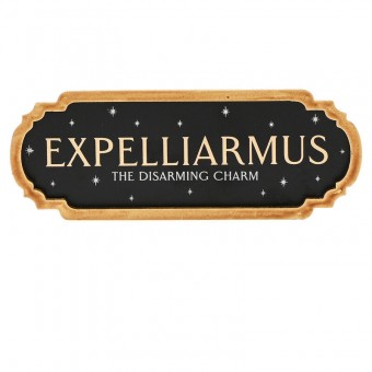 Cartel Expelliarmus Harry Potter