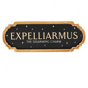 Cartel Expelliarmus Harry Potter