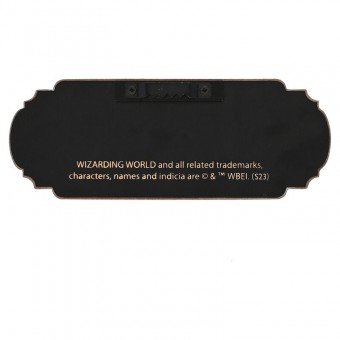 Cartel Expelliarmus Harry Potter