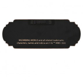 Cartel Expelliarmus Harry Potter