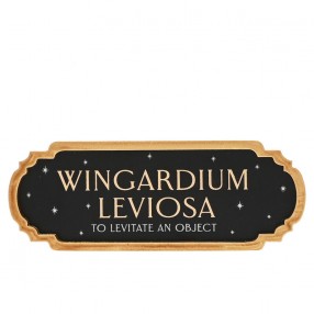 Cartel Expelliarmus Harry Potter