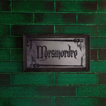 Placa Espejo Marca Tenebrosa Dark Arts Harry Potter