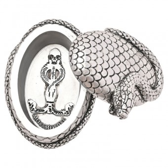 Joyero Nagini Harry Potter