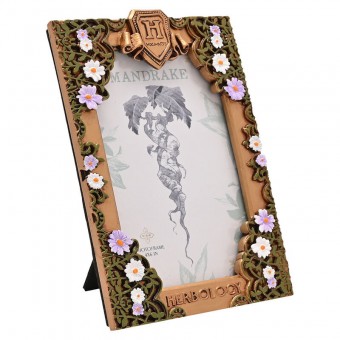 Marco fotos Herbologia Harry Potter