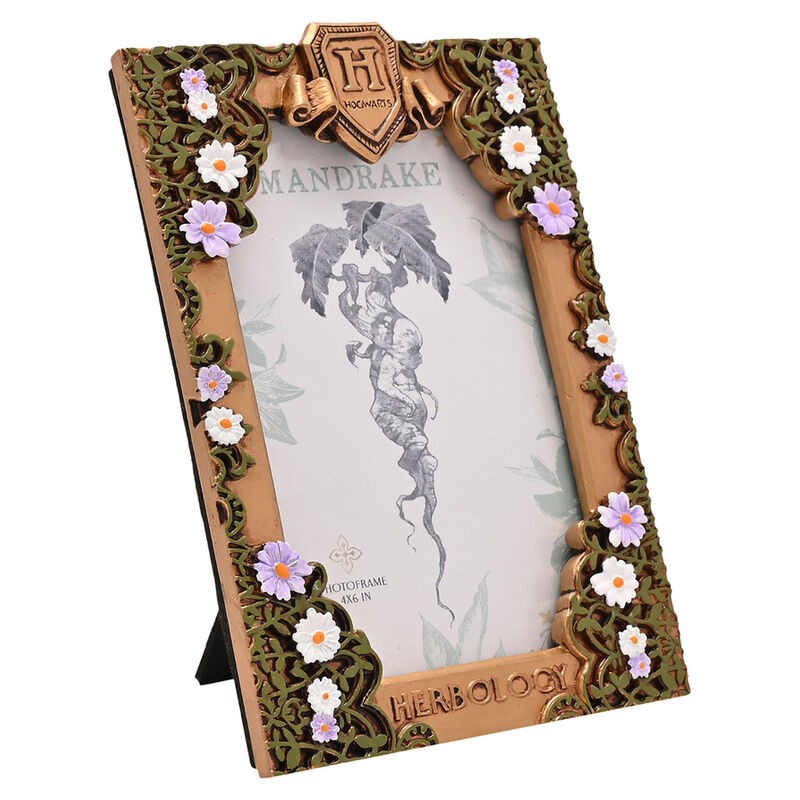 Marco fotos Herbologia Harry Potter