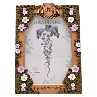 Marco fotos Herbologia Harry Potter