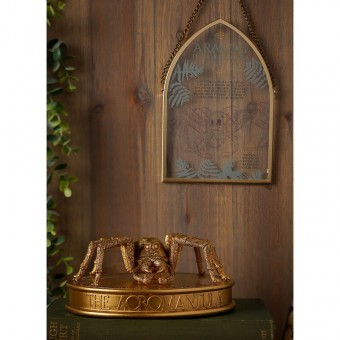 Figura Aragog Harry Potter 7cm