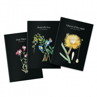 Set 3 cuadernos A5 Sleepless Garden