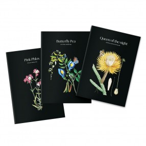 Set 3 cuadernos A5 Sleepless Garden
