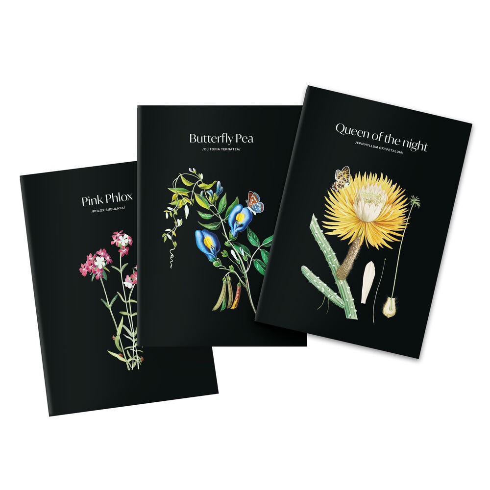Set 3 cuadernos A5 Sleepless Garden