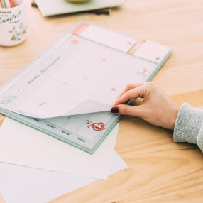 Planificador comidas magnetico Winnie the Pooh Disney