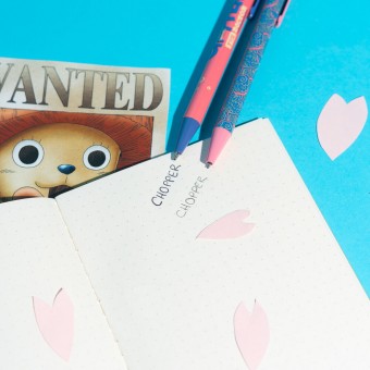 Base acrilica + lapiz y boligrafo Chopper One Piece