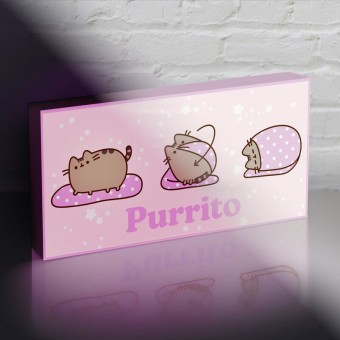 Lienzo con Luz Pusheen